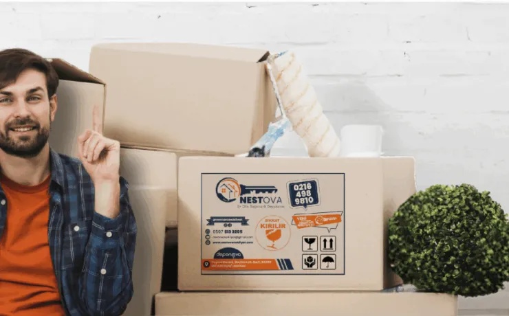 2025030500301244313352